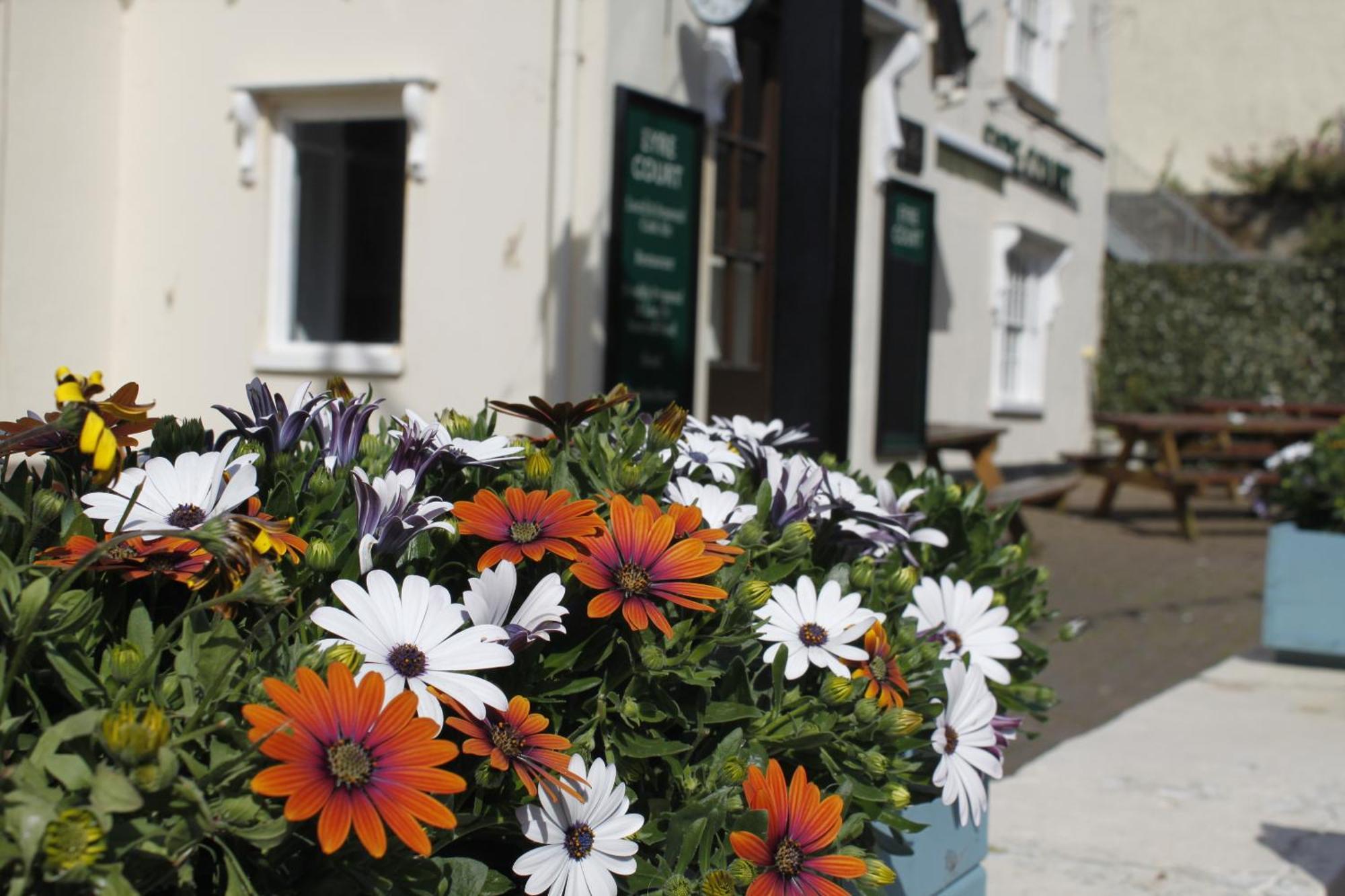 Bed and Breakfast The Eyre Court Seaton  Exterior foto